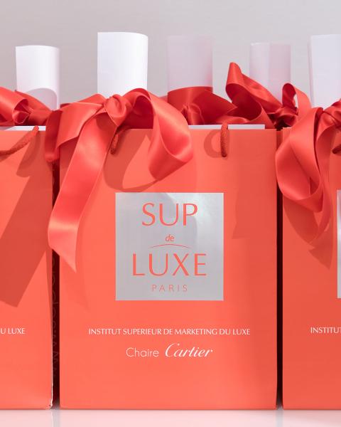 Equipes Sup de Luxe