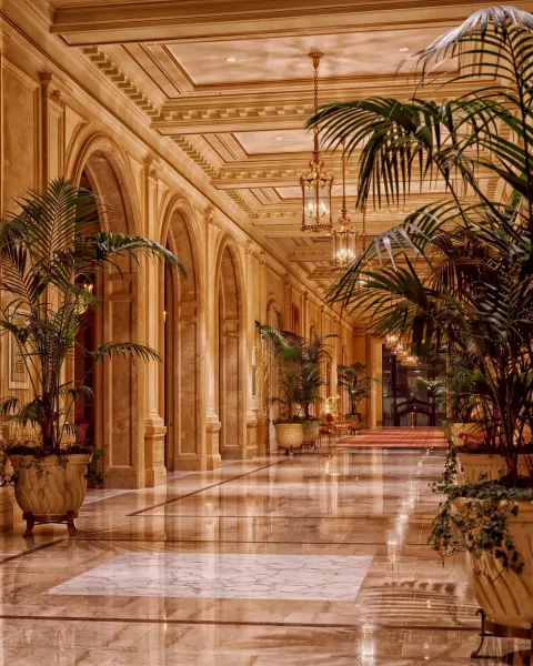entrée palace hotel de luxe